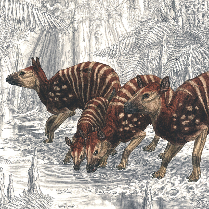 Bildausschnitt von einer Lebensrekonstruktion vom Urpferd Propalaeotherium